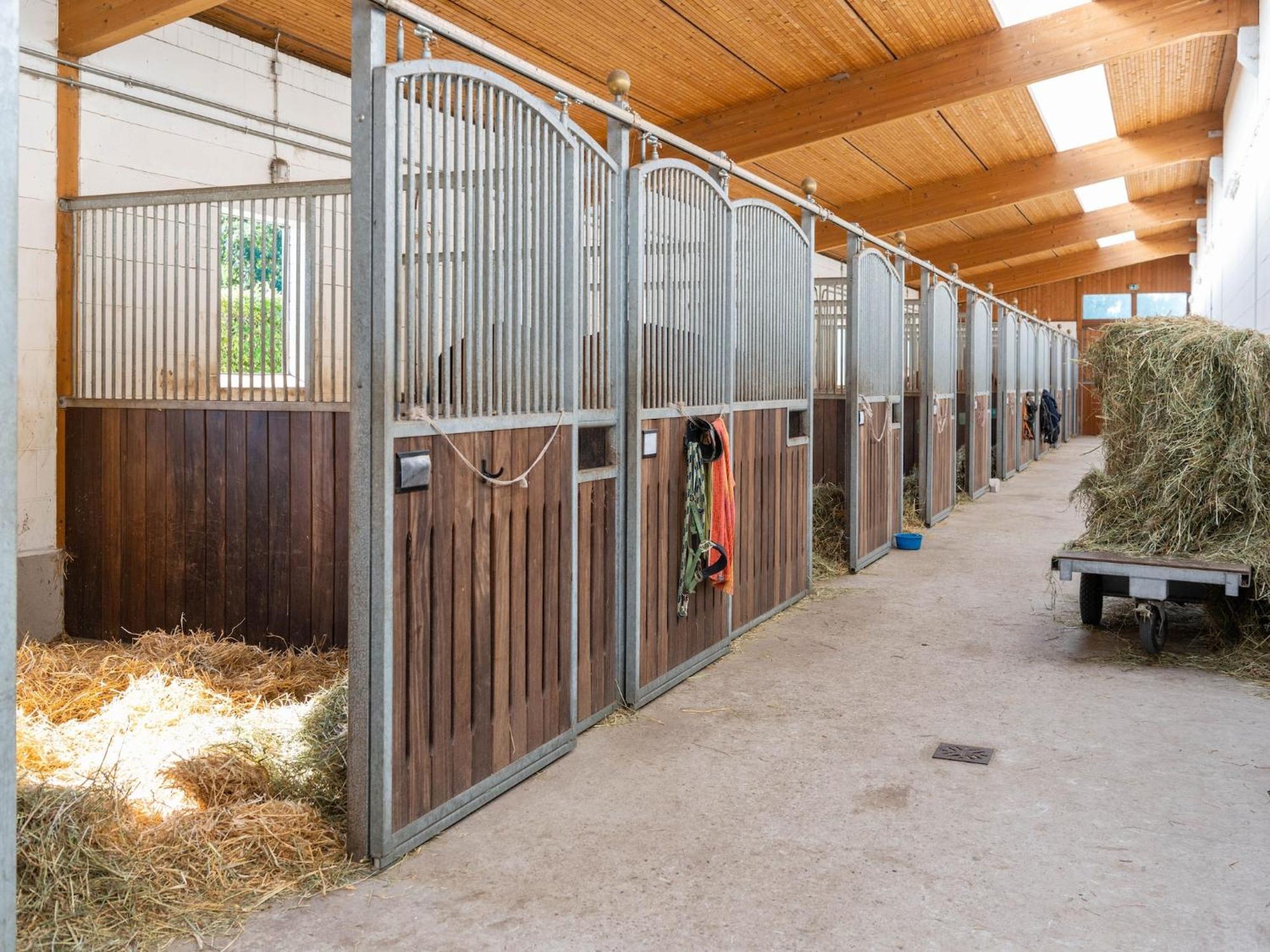 Holiday Home On A Horse Farm In The L Neburg Heath Eschede Εξωτερικό φωτογραφία