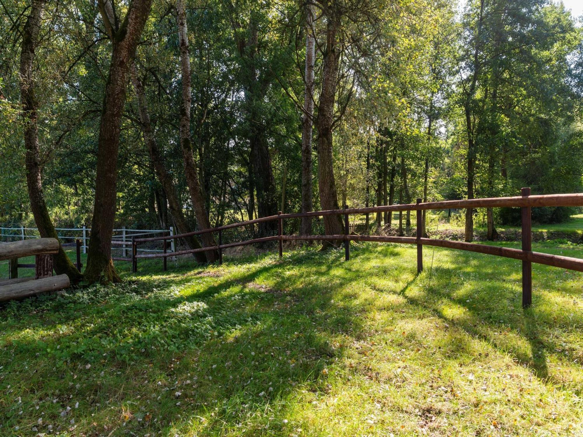 Holiday Home On A Horse Farm In The L Neburg Heath Eschede Εξωτερικό φωτογραφία