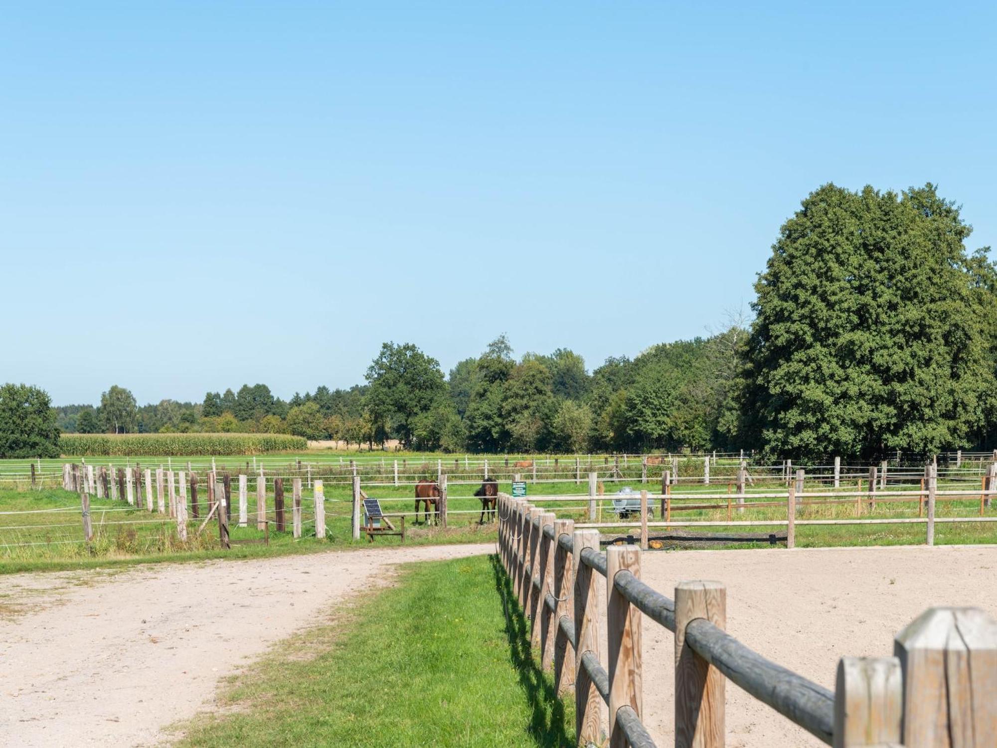 Holiday Home On A Horse Farm In The L Neburg Heath Eschede Εξωτερικό φωτογραφία