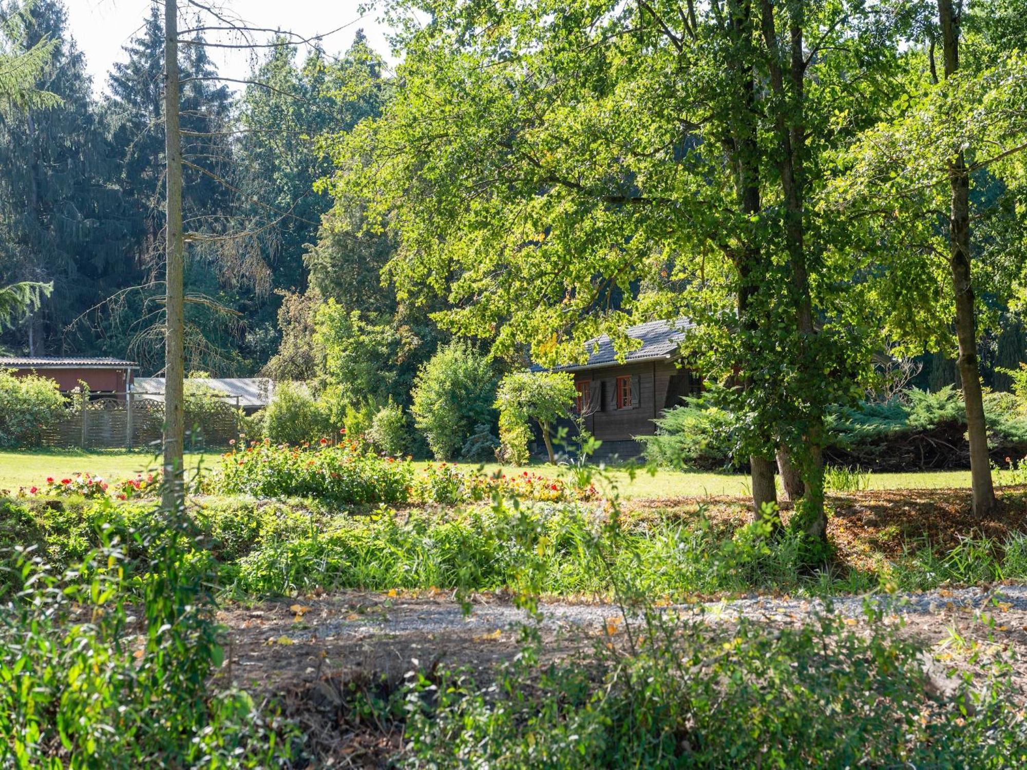 Holiday Home On A Horse Farm In The L Neburg Heath Eschede Εξωτερικό φωτογραφία