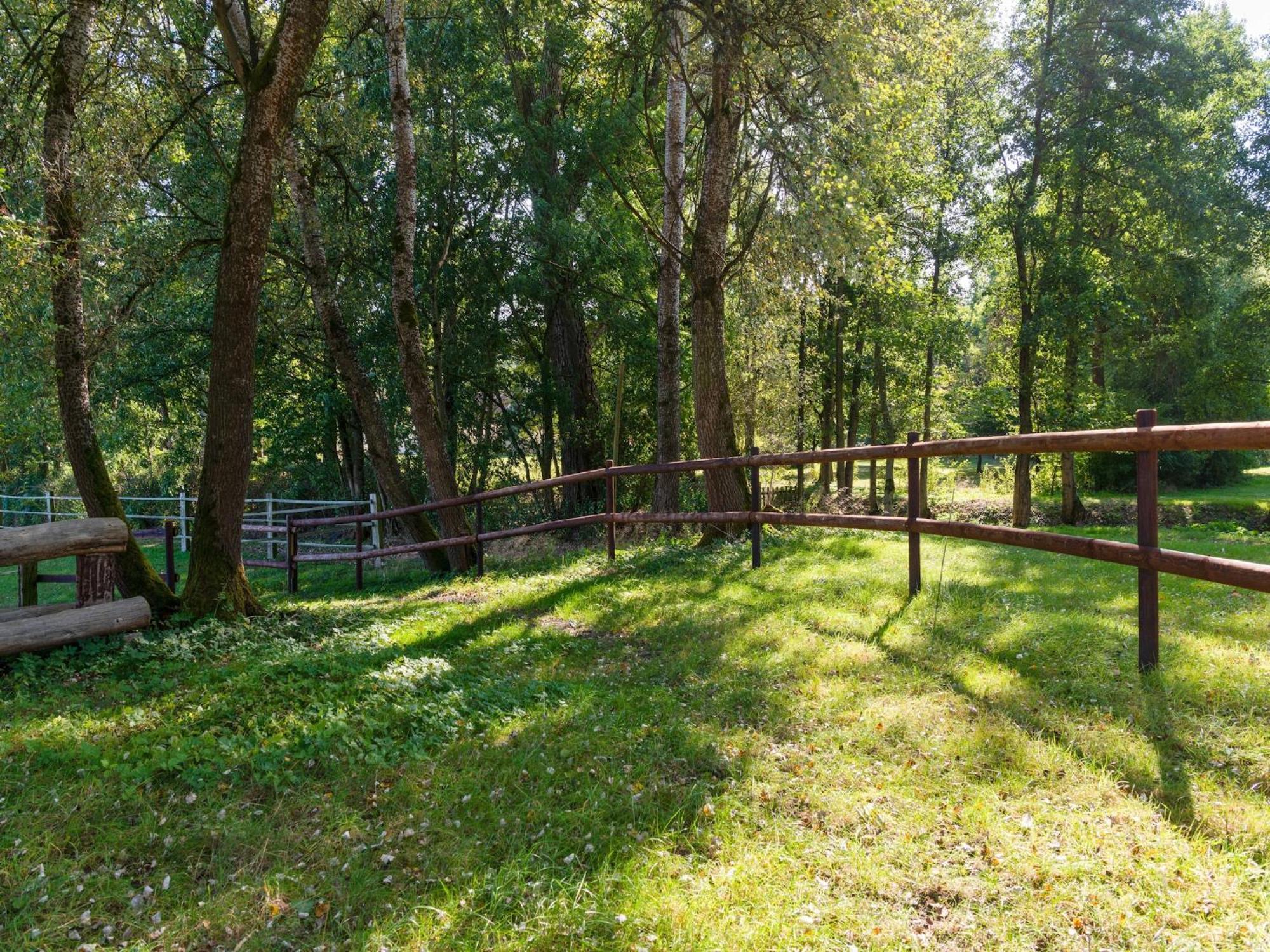 Holiday Home On A Horse Farm In The L Neburg Heath Eschede Εξωτερικό φωτογραφία